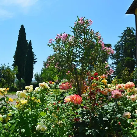 Villa Santa Caterina Cortona